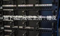 地下城的秘密生活：暗夜中的光明与阴影