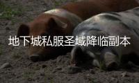 地下城私服圣域降临副本攻略详解