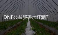 DNF公益服碧水红潮升级技巧汇总
