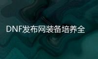 DNF发布网装备培养全攻略
