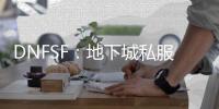 DNFSF：地下城私服的神秘面纱与独特魅力