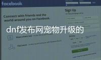 dnf发布网宠物升级的最佳方法与建议